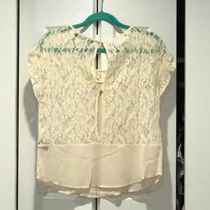 Beige Lace and Sheer Top